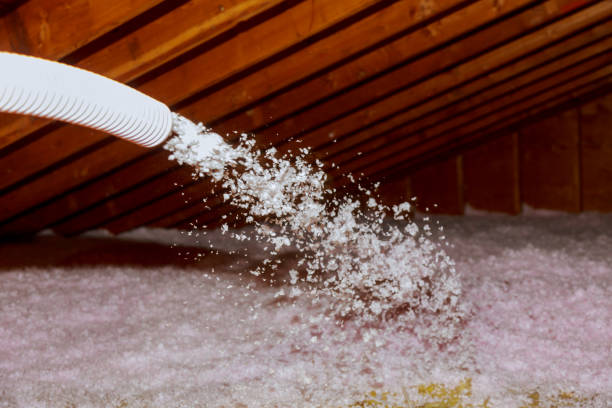 Best Insulation for Specific Applications in Skidaway Island, GA